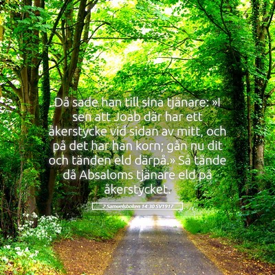 Picture 05 - 2 Samuelsboken 14:30 SV1917 - Då sade han till sina tjänare: »I sen att Joab - Bible Verse Picture