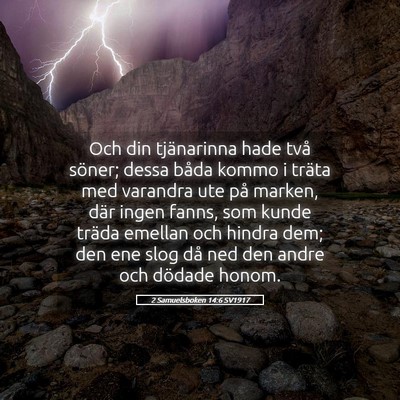 Picture 05 - 2 Samuelsboken 14:6 SV1917 - Och din tjänarinna hade två söner; dessa båda - Bible Verse Picture