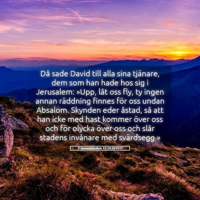 Picture 05 - 2 Samuelsboken 15:14 SV1917 - Då sade David till alla sina tjänare, dem som - Bible Verse Picture