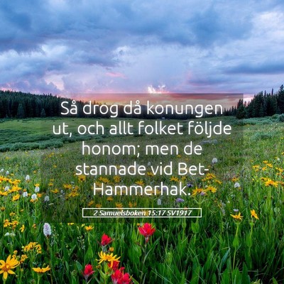 Picture 05 - 2 Samuelsboken 15:17 SV1917 - Så drog då konungen ut, och allt folket följde - Bible Verse Picture