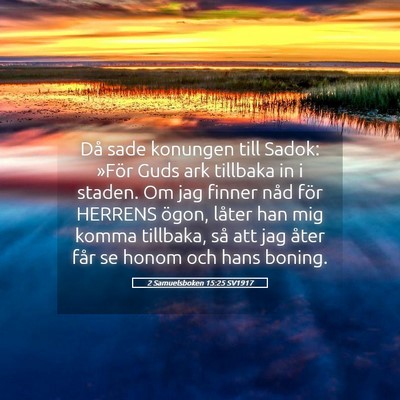Picture 05 - 2 Samuelsboken 15:25 SV1917 - Då sade konungen till Sadok: »För Guds ark - Bible Verse Picture