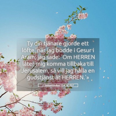 Picture 05 - 2 Samuelsboken 15:8 SV1917 - Ty din tjänare gjorde ett löfte, när jag bodde - Bible Verse Picture