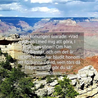 Picture 05 - 2 Samuelsboken 16:10 SV1917 - Men konungen svarade: »Vad haven I med mig att - Bible Verse Picture