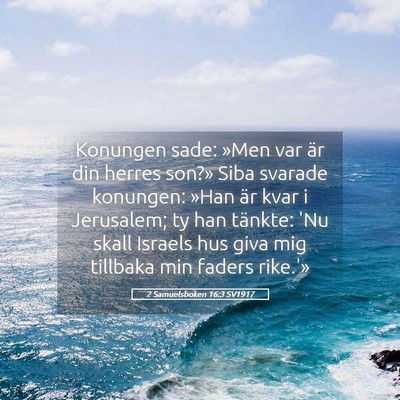 Picture 05 - 2 Samuelsboken 16:3 SV1917 - Konungen sade: »Men var är din herres son?» - Bible Verse Picture
