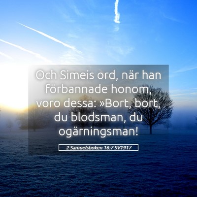 Picture 05 - 2 Samuelsboken 16:7 SV1917 - Och Simeis ord, när han förbannade honom, voro - Bible Verse Picture