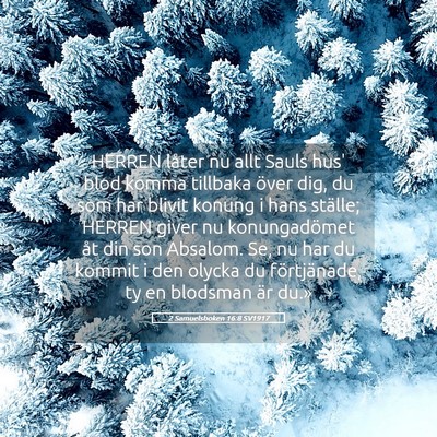 Picture 05 - 2 Samuelsboken 16:8 SV1917 - HERREN låter nu allt Sauls hus' blod komma - Bible Verse Picture