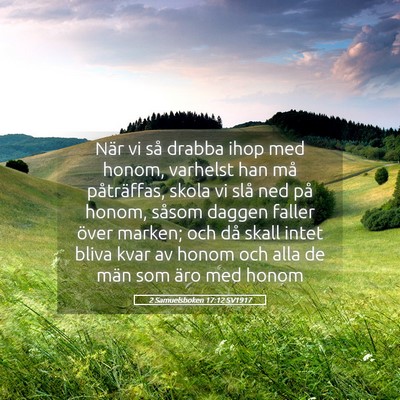 Picture 05 - 2 Samuelsboken 17:12 SV1917 - När vi så drabba ihop med honom, varhelst han - Bible Verse Picture