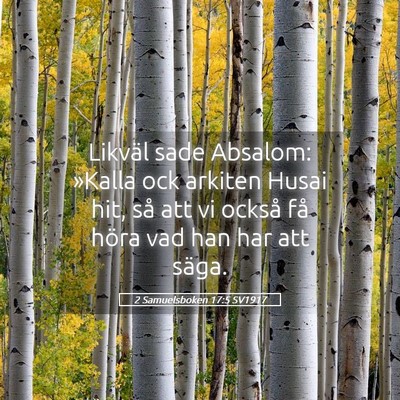 Picture 05 - 2 Samuelsboken 17:5 SV1917 - Likväl sade Absalom: »Kalla ock arkiten Husai - Bible Verse Picture