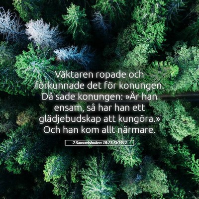 Picture 05 - 2 Samuelsboken 18:25 SV1917 - Väktaren ropade och förkunnade det för - Bible Verse Picture