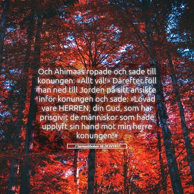 Picture 05 - 2 Samuelsboken 18:28 SV1917 - Och Ahimaas ropade och sade till konungen: »Allt - Bible Verse Picture