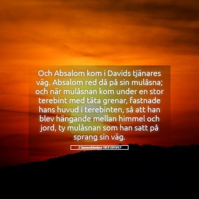 Picture 05 - 2 Samuelsboken 18:9 SV1917 - Och Absalom kom i Davids tjänares väg. Absalom - Bible Verse Picture