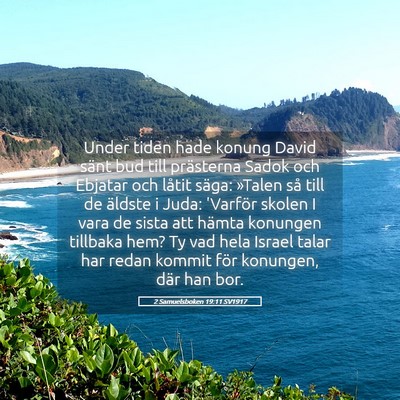 Picture 05 - 2 Samuelsboken 19:11 SV1917 - Under tiden hade konung David sänt bud till - Bible Verse Picture