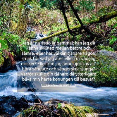 Picture 05 - 2 Samuelsboken 19:35 SV1917 - Jag är nu åttio år gammal; kan jag då känna - Bible Verse Picture