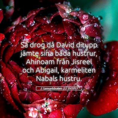 Picture 05 - 2 Samuelsboken 2:2 SV1917 - Så drog då David ditupp jämte sina båda - Bible Verse Picture