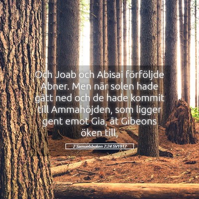 Picture 05 - 2 Samuelsboken 2:24 SV1917 - Och Joab och Abisai förföljde Abner. Men när - Bible Verse Picture