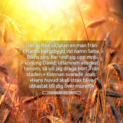 Picture 05 - 2 Samuelsboken 20:21 SV1917 - Det är icke så, utan en man från Efraims - Bible Verse Picture