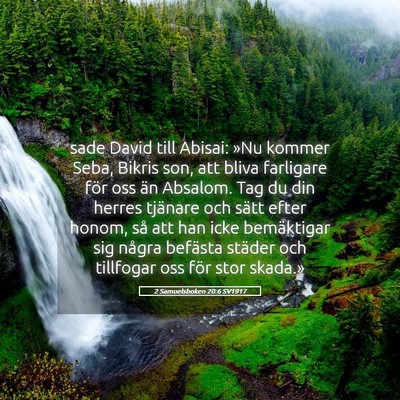 Picture 05 - 2 Samuelsboken 20:6 SV1917 - sade David till Abisai: »Nu kommer Seba, Bikris - Bible Verse Picture