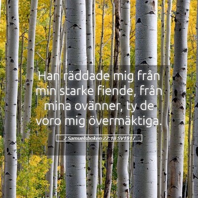 Picture 05 - 2 Samuelsboken 22:18 SV1917 - Han räddade mig från min starke fiende, från - Bible Verse Picture