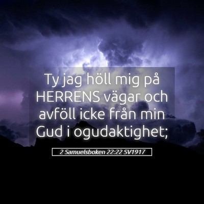 Picture 05 - 2 Samuelsboken 22:22 SV1917 - Ty jag höll mig på HERRENS vägar och avföll - Bible Verse Picture