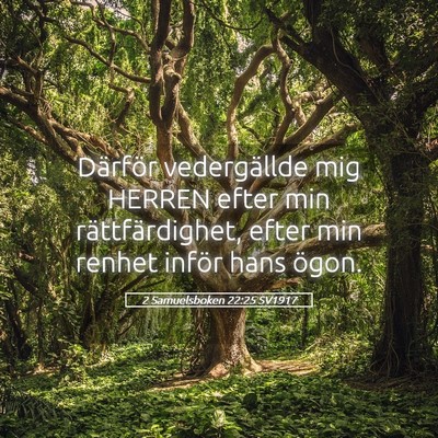 Picture 05 - 2 Samuelsboken 22:25 SV1917 - Därför vedergällde mig HERREN efter min - Bible Verse Picture