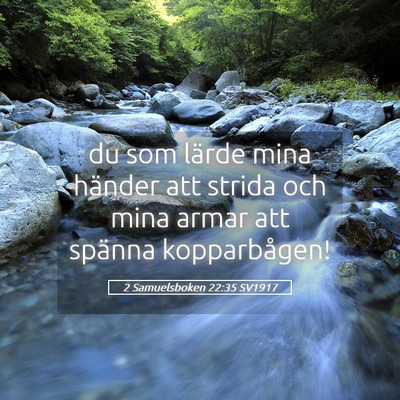 Picture 05 - 2 Samuelsboken 22:35 SV1917 - du som lärde mina händer att strida och mina - Bible Verse Picture