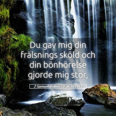 Picture 05 - 2 Samuelsboken 22:36 SV1917 - Du gav mig din frälsnings sköld och din - Bible Verse Picture
