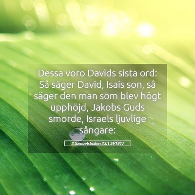 Picture 05 - 2 Samuelsboken 23:1 SV1917 - Dessa voro Davids sista ord: Så säger David, - Bible Verse Picture