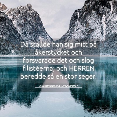 Picture 05 - 2 Samuelsboken 23:12 SV1917 - Då ställde han sig mitt på åkerstycket och - Bible Verse Picture