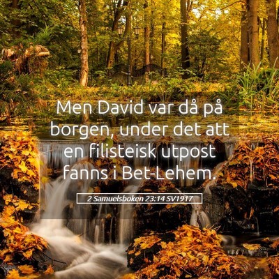 Picture 05 - 2 Samuelsboken 23:14 SV1917 - Men David var då på borgen, under det att en - Bible Verse Picture