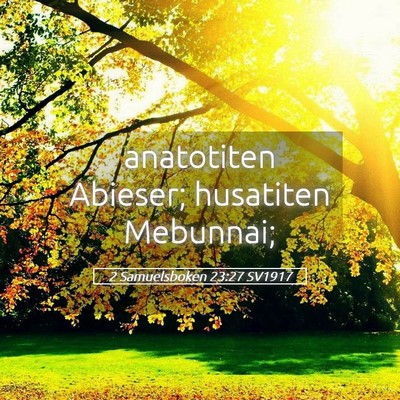 Picture 05 - 2 Samuelsboken 23:27 SV1917 - anatotiten Abieser; husatiten - Bible Verse Picture
