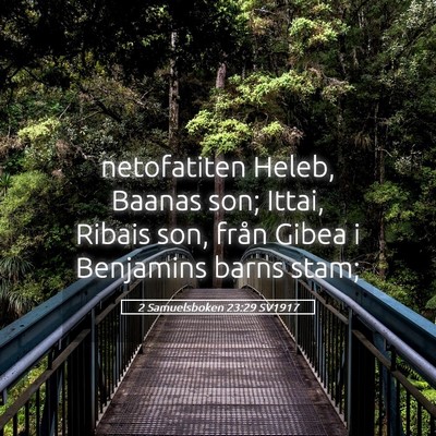 Picture 05 - 2 Samuelsboken 23:29 SV1917 - netofatiten Heleb, Baanas son; Ittai, Ribais son, - Bible Verse Picture