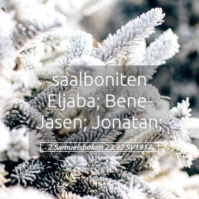 Picture 05 - 2 Samuelsboken 23:32 SV1917 - saalboniten Eljaba; Bene-Jasen; - Bible Verse Picture