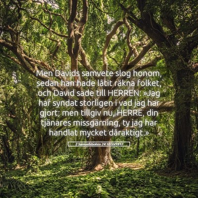 Picture 05 - 2 Samuelsboken 24:10 SV1917 - Men Davids samvete slog honom, sedan han hade - Bible Verse Picture