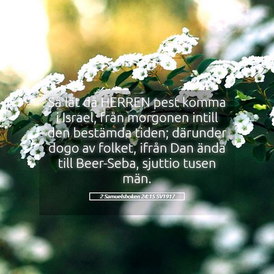 Picture 05 - 2 Samuelsboken 24:15 SV1917 - Så lät då HERREN pest komma i Israel, från - Bible Verse Picture