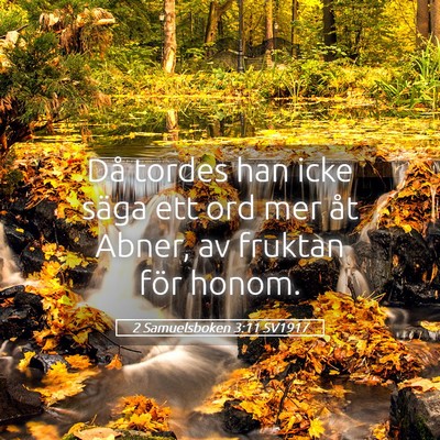 Picture 05 - 2 Samuelsboken 3:11 SV1917 - Då tordes han icke säga ett ord mer åt Abner, - Bible Verse Picture