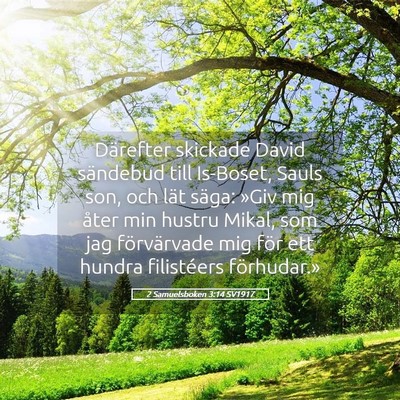 Picture 05 - 2 Samuelsboken 3:14 SV1917 - Därefter skickade David sändebud till Is-Boset, - Bible Verse Picture