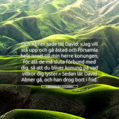 Picture 05 - 2 Samuelsboken 3:21 SV1917 - Och Abner sade till David: »Jag vill stå upp - Bible Verse Picture