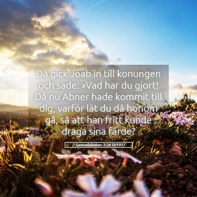 Picture 05 - 2 Samuelsboken 3:24 SV1917 - Då gick Joab in till konungen och sade: »Vad - Bible Verse Picture