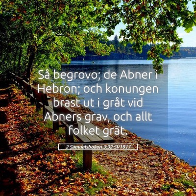 Picture 05 - 2 Samuelsboken 3:32 SV1917 - Så begrovo; de Abner i Hebron; och konungen - Bible Verse Picture