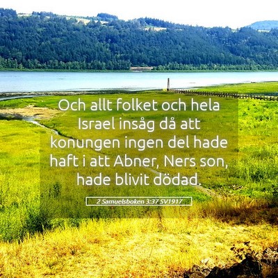 Picture 05 - 2 Samuelsboken 3:37 SV1917 - Och allt folket och hela Israel insåg då att - Bible Verse Picture