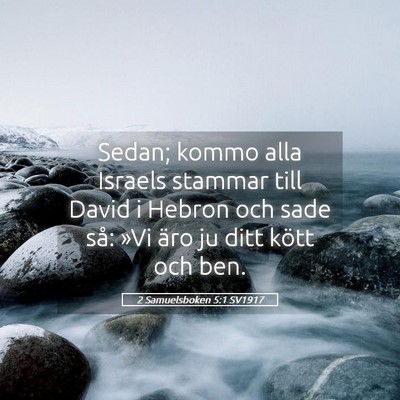 Picture 05 - 2 Samuelsboken 5:1 SV1917 - Sedan; kommo alla Israels stammar till David i - Bible Verse Picture