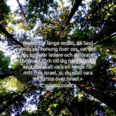 Picture 05 - 2 Samuelsboken 5:2 SV1917 - Redan för länge sedan, då Saul ännu var - Bible Verse Picture
