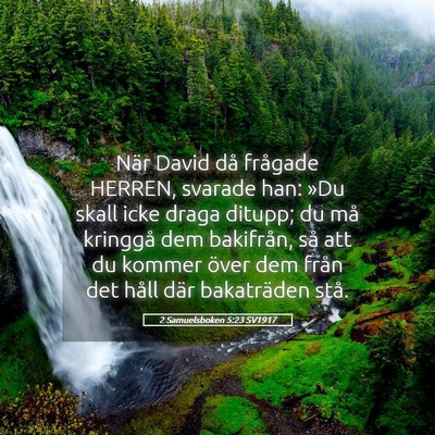 Picture 05 - 2 Samuelsboken 5:23 SV1917 - När David då frågade HERREN, svarade han: »Du - Bible Verse Picture