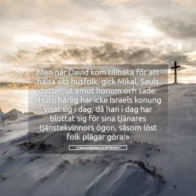 Picture 05 - 2 Samuelsboken 6:20 SV1917 - Men när David kom tillbaka för att hälsa sitt - Bible Verse Picture