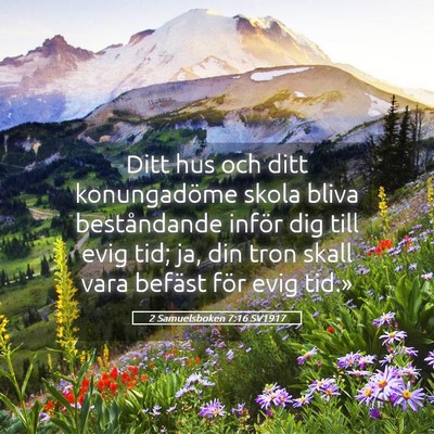 Picture 05 - 2 Samuelsboken 7:16 SV1917 - Ditt hus och ditt konungadöme skola bliva - Bible Verse Picture