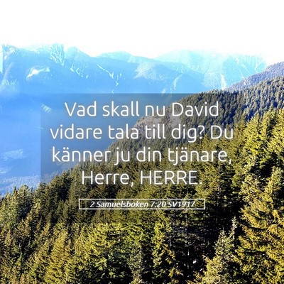 Picture 05 - 2 Samuelsboken 7:20 SV1917 - Vad skall nu David vidare tala till dig? Du - Bible Verse Picture