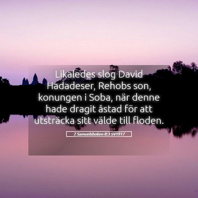 Picture 05 - 2 Samuelsboken 8:3 SV1917 - Likaledes slog David Hadadeser, Rehobs son, - Bible Verse Picture
