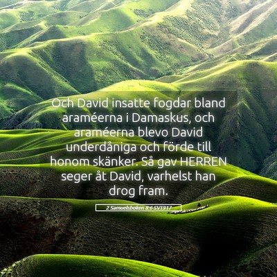 Picture 05 - 2 Samuelsboken 8:6 SV1917 - Och David insatte fogdar bland araméerna i - Bible Verse Picture