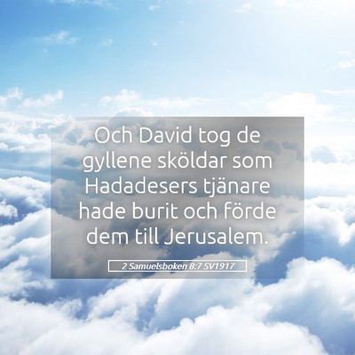 Picture 05 - 2 Samuelsboken 8:7 SV1917 - Och David tog de gyllene sköldar som Hadadesers - Bible Verse Picture