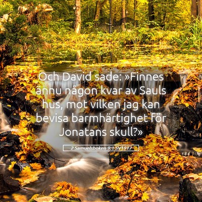Picture 05 - 2 Samuelsboken 9:1 SV1917 - Och David sade: »Finnes ännu någon kvar av - Bible Verse Picture
